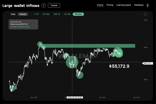 Цена биткоина падала до $55 000. Сумма ликвидаций составила $2 млрд