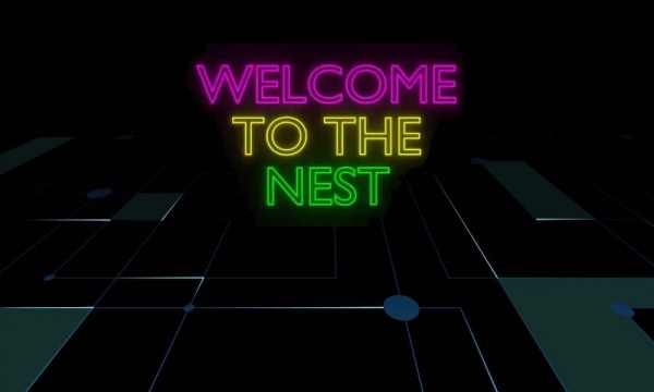 NEST Protocol добавил модуль управления и отменил дивиденды