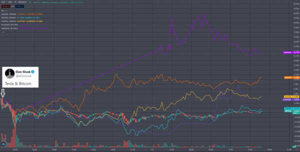Решение Tesla насчет биткоина помогло укрепить цены монет на на PoS
