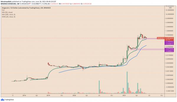 Тайлер Дёрден: «Илон Маск не может спасти Dogecoin от падения на 60%»