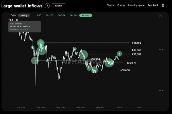 Киты пополнили свои кошельки на 50 000 BTC