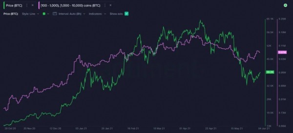 Киты пополнили свои кошельки на 50 000 BTC