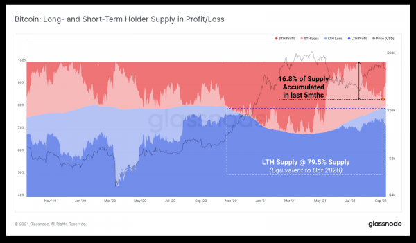 80% биткоинов принадлежат долгосрочным инвесторам