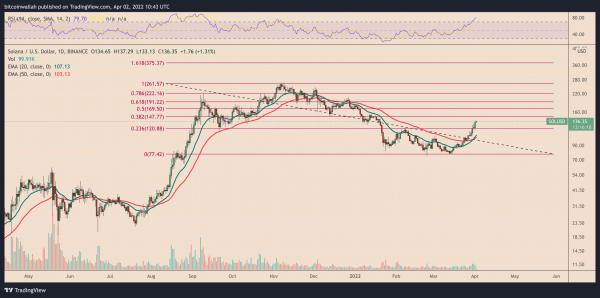Цена Solana (SOL) может вырасти до 150 долларов США в апреле