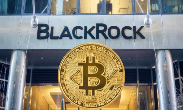 BlackRock: Институциональное внедрение DeFi не произойдет в ближайшее время