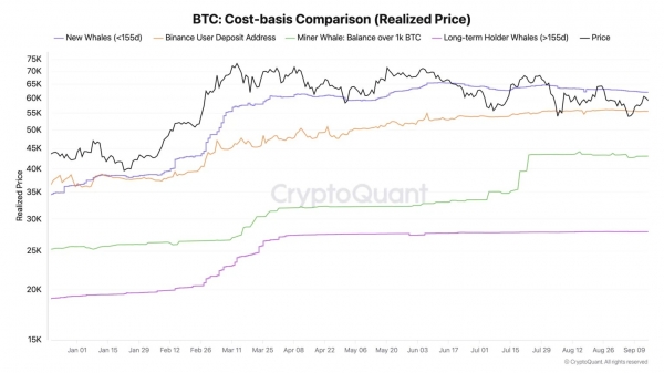 Аналитики ждут скорого бычьего рынка BTC