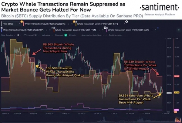 Santiment: Киты ждут высокой волатильности BTC