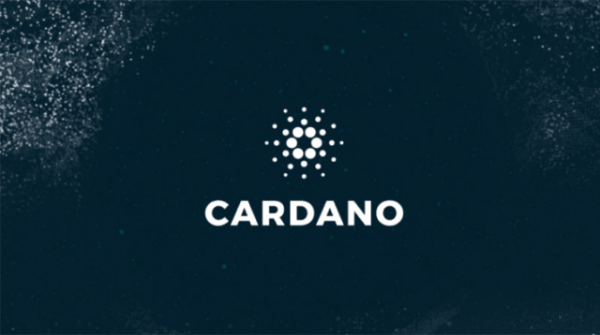 Cardano и SpaceX могут заключить сотрудничество