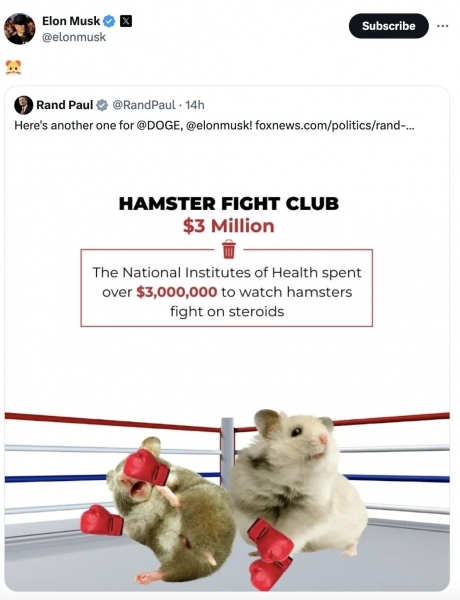 Илон Маск пропампил Hamster Kombat