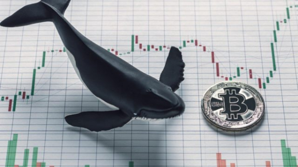 Биткоин-кит из 2011 года активировался: прибыль $10 млн