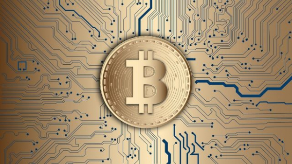 Опрос Bitwise: институционалы продолжают держать биткоин Опрос Bitwise: институционалы продолжают держать биткоин
