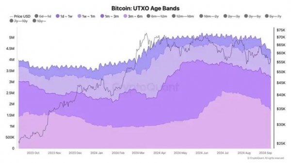 CryptoQuant: Биткоин переходит в сильные руки